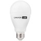 Bec cu LED CANYON A65 shape, E27, 13.5W, 220-240V, 200