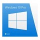 Windows Pro GGK 10 64Bit Romanian 1pk DSP ORT OEI DVD 4YR-00236